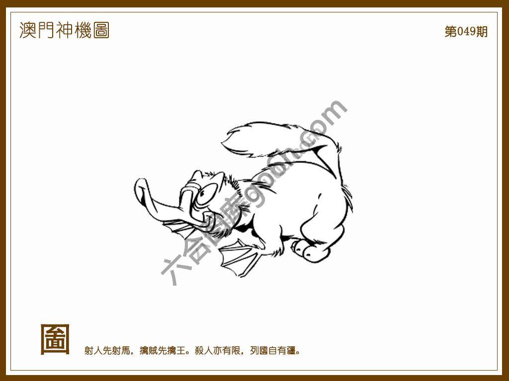 澳门神机图