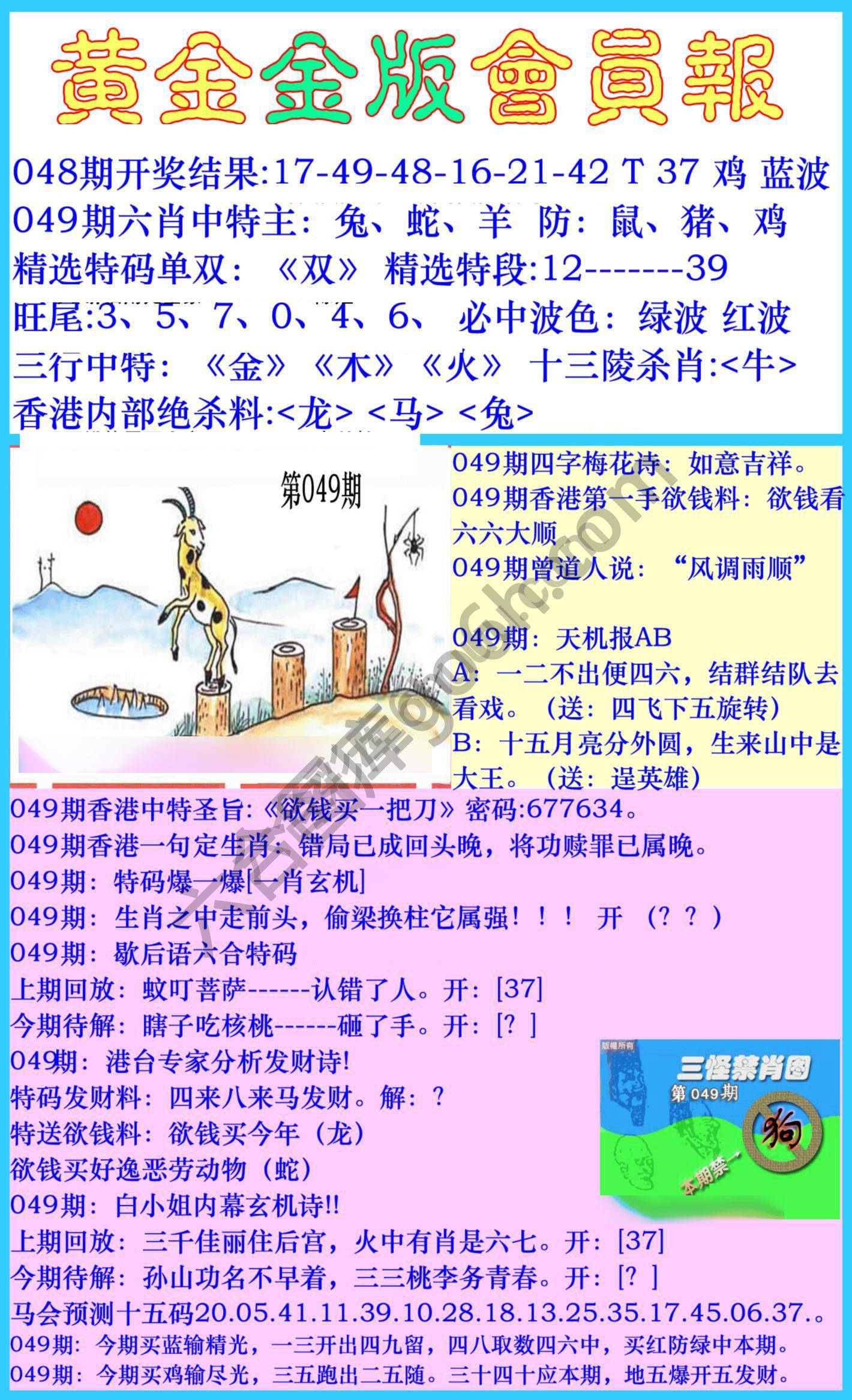黄金金版会员报