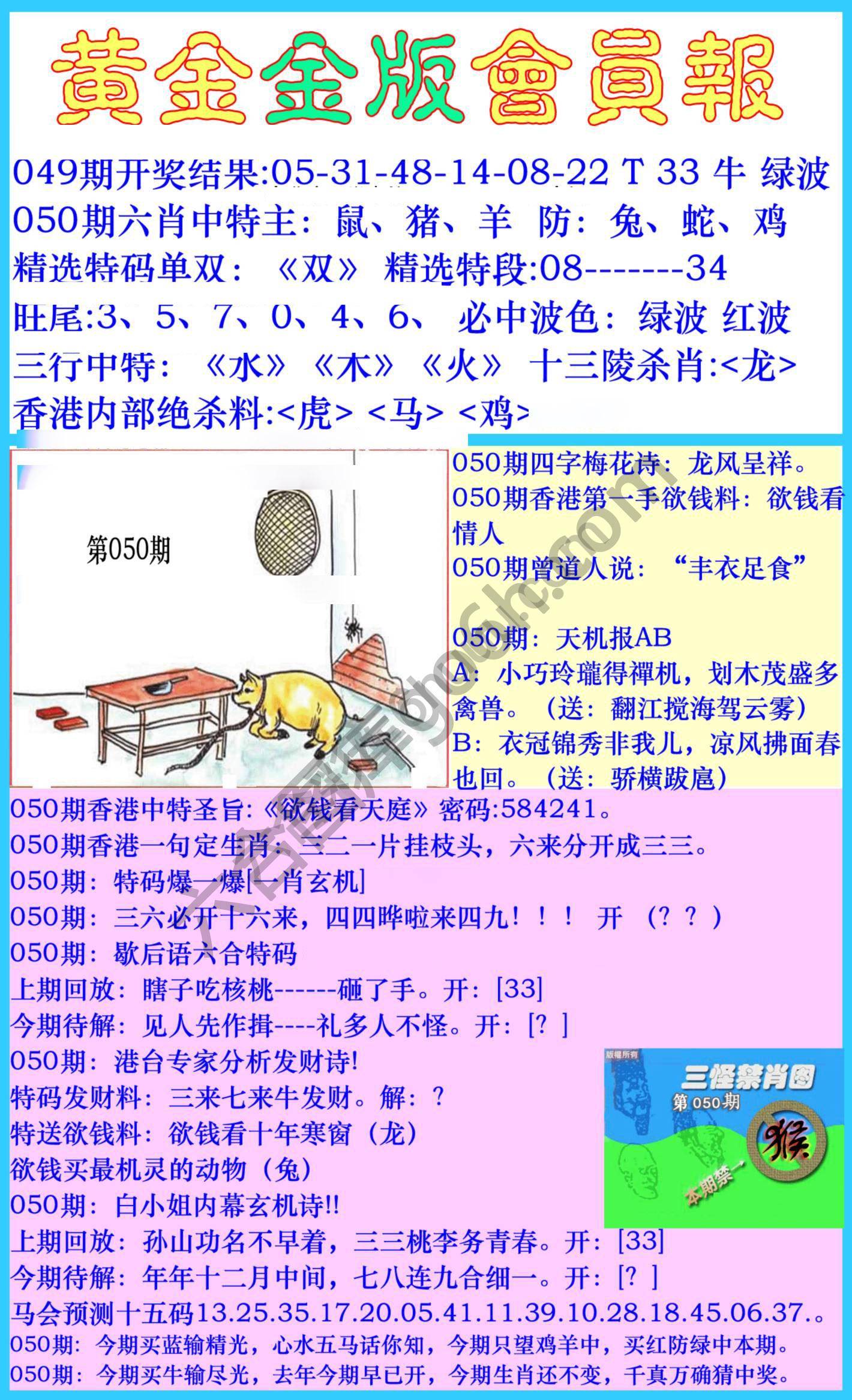 黄金金版会员报