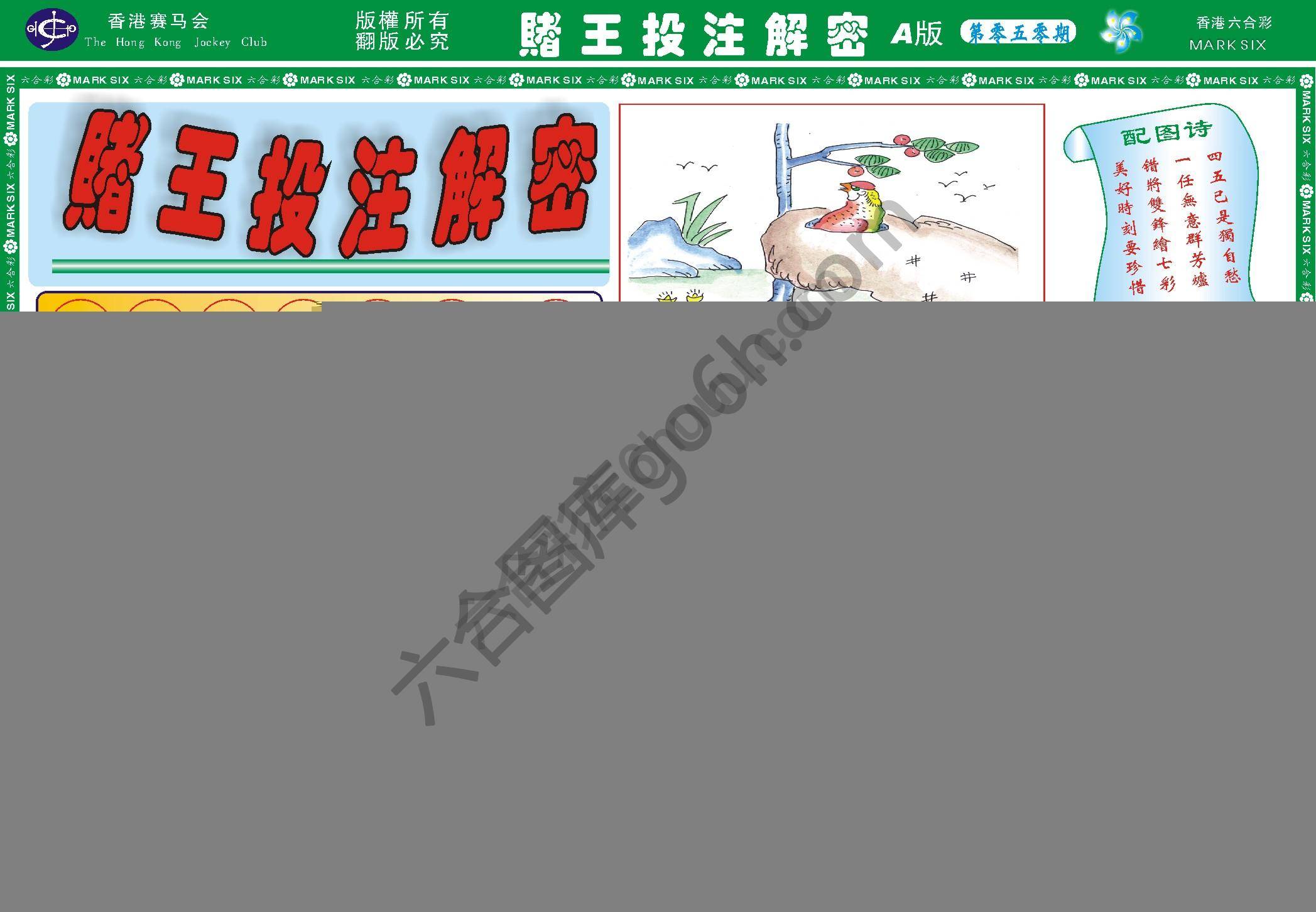赌王投注解密