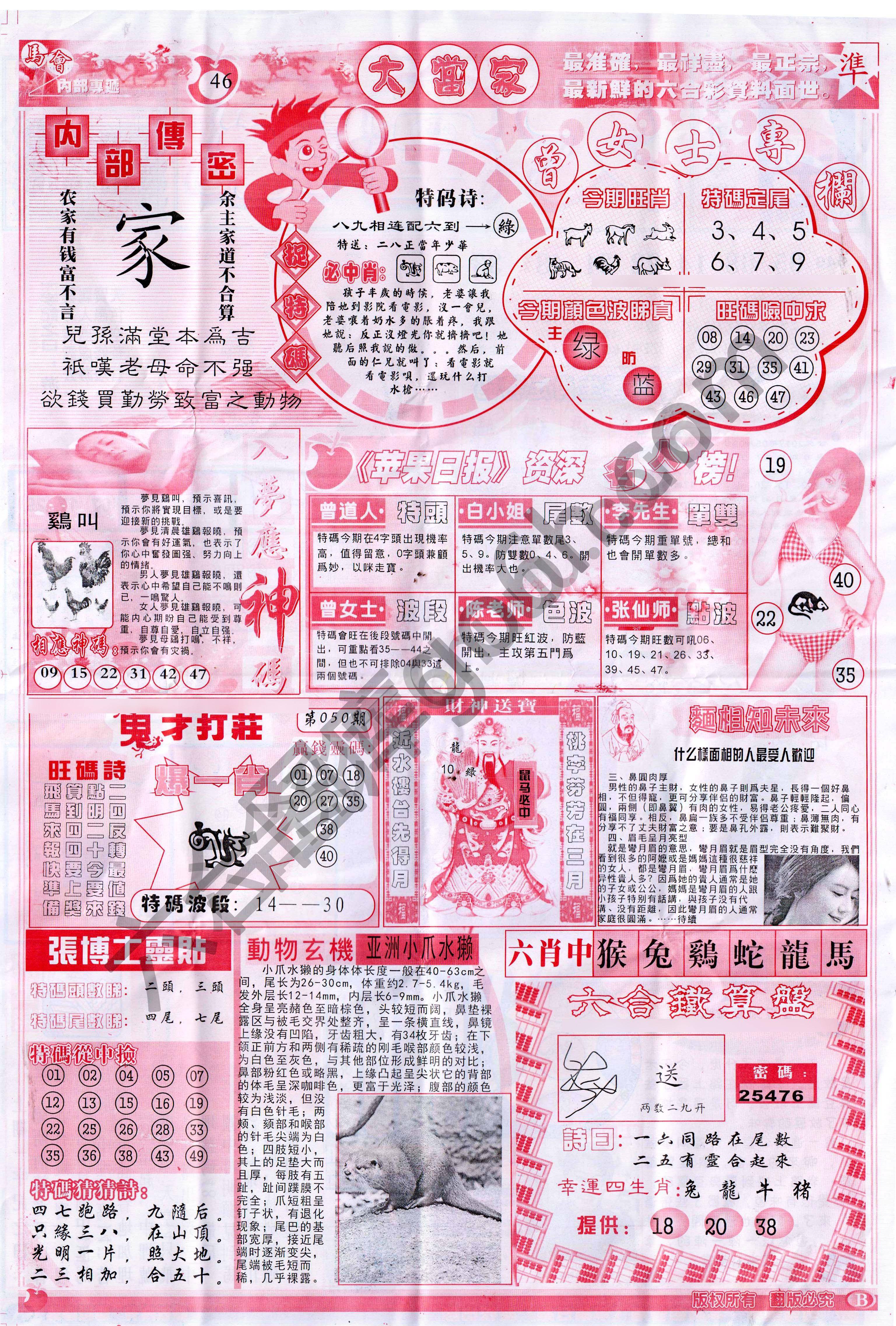 大当家
