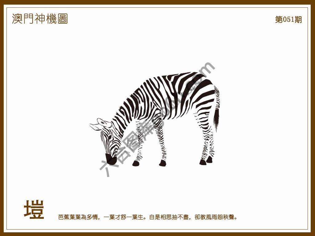澳门神机图