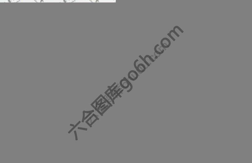 赌神猴报