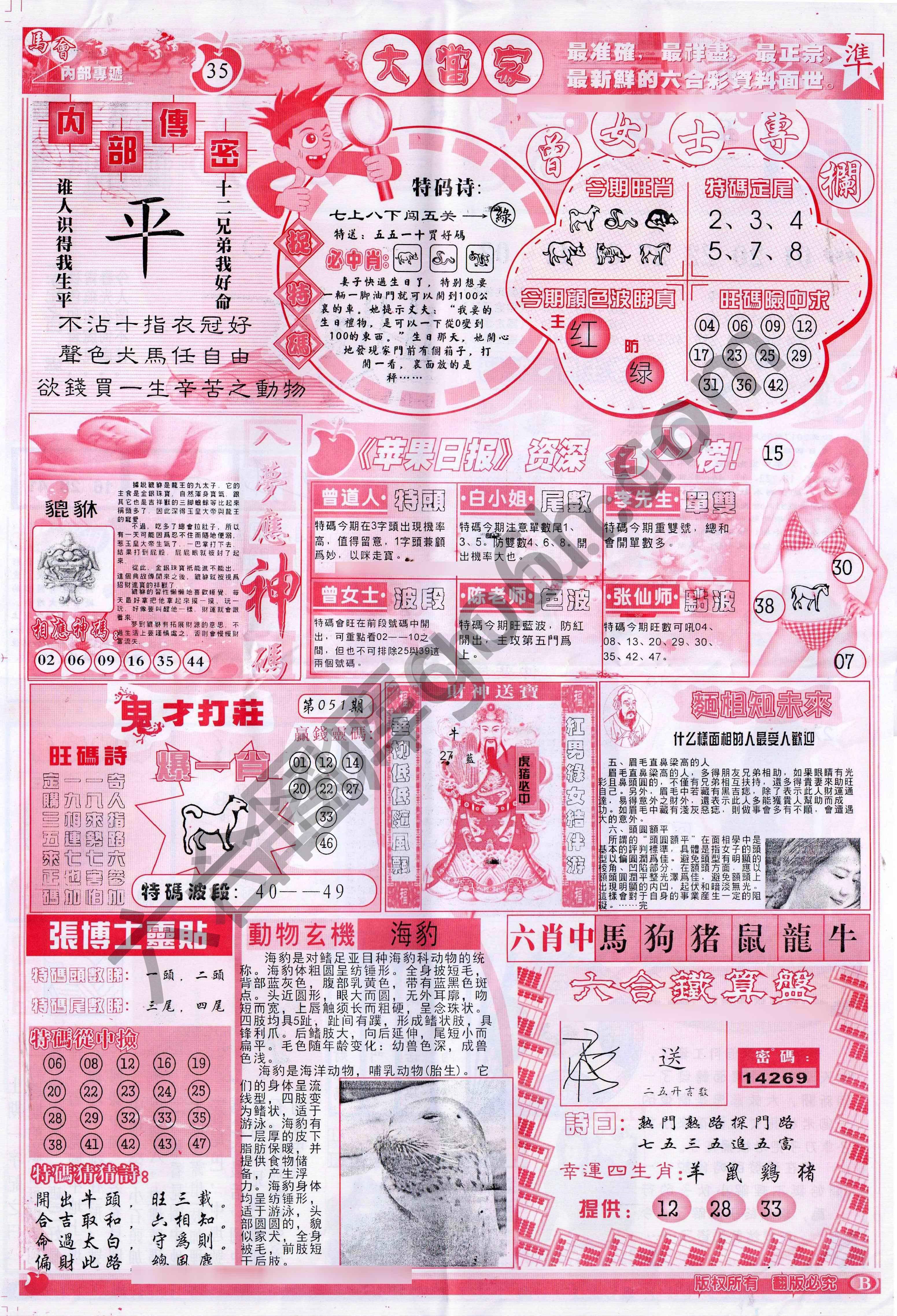 大当家