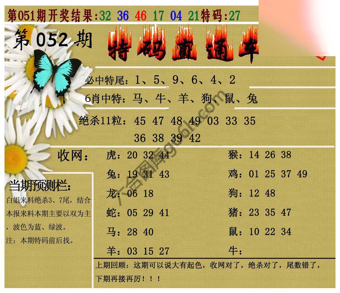 特码直通车