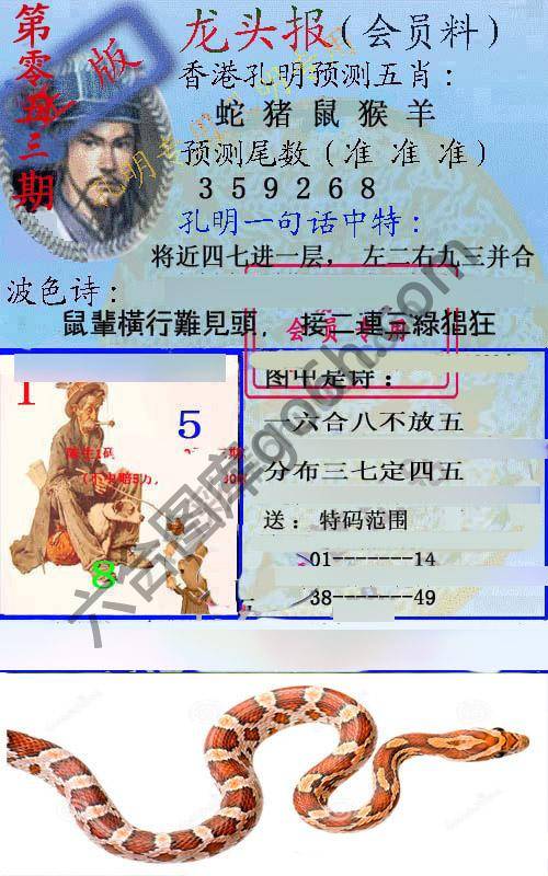 龙头报