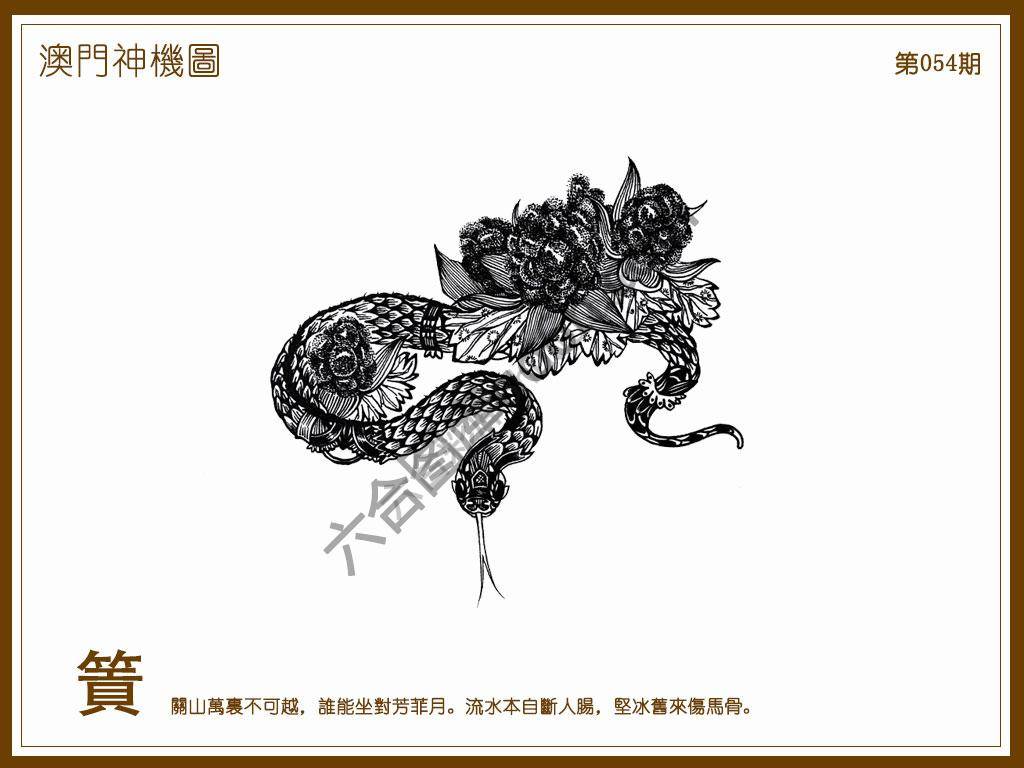 澳门神机图
