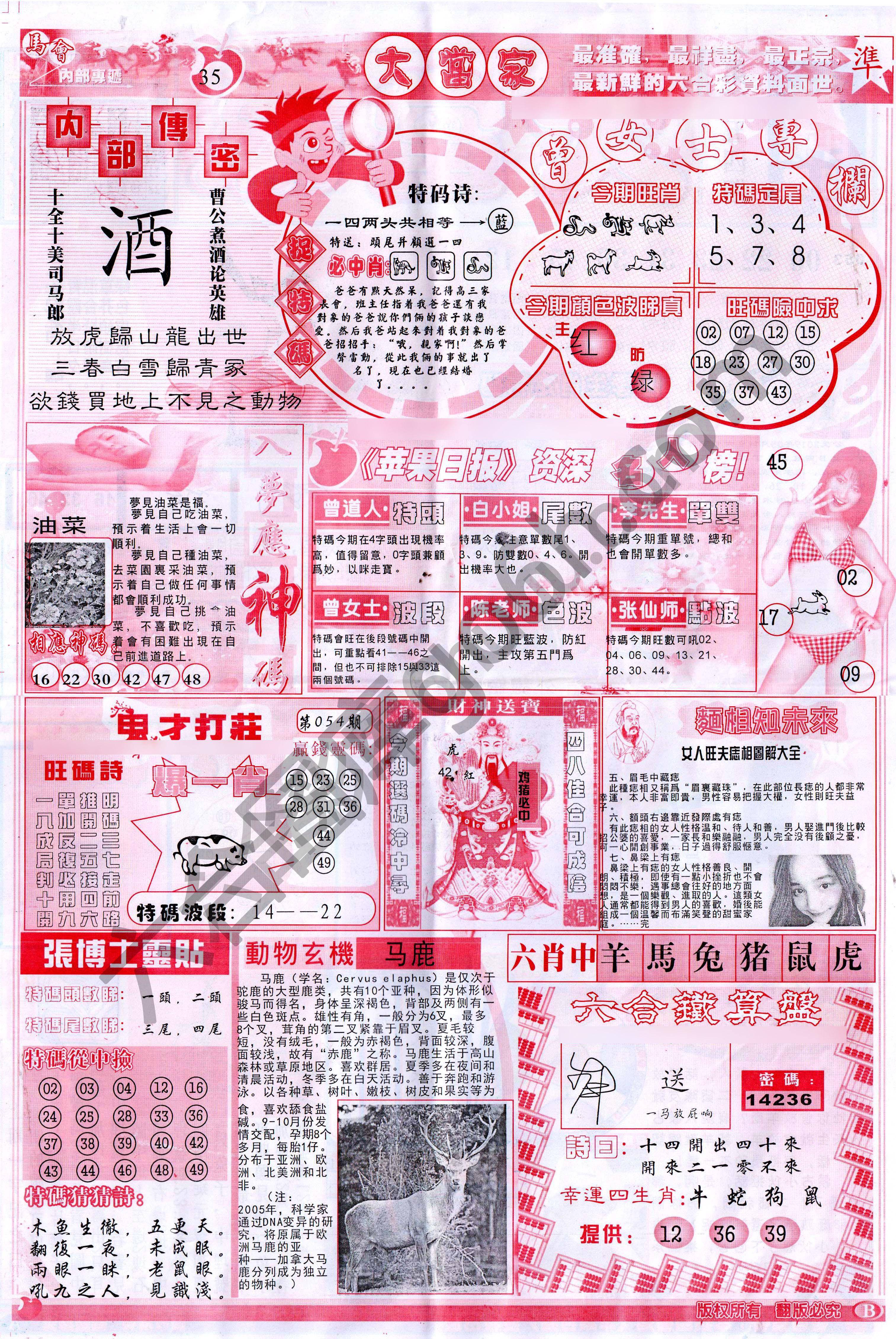 大当家