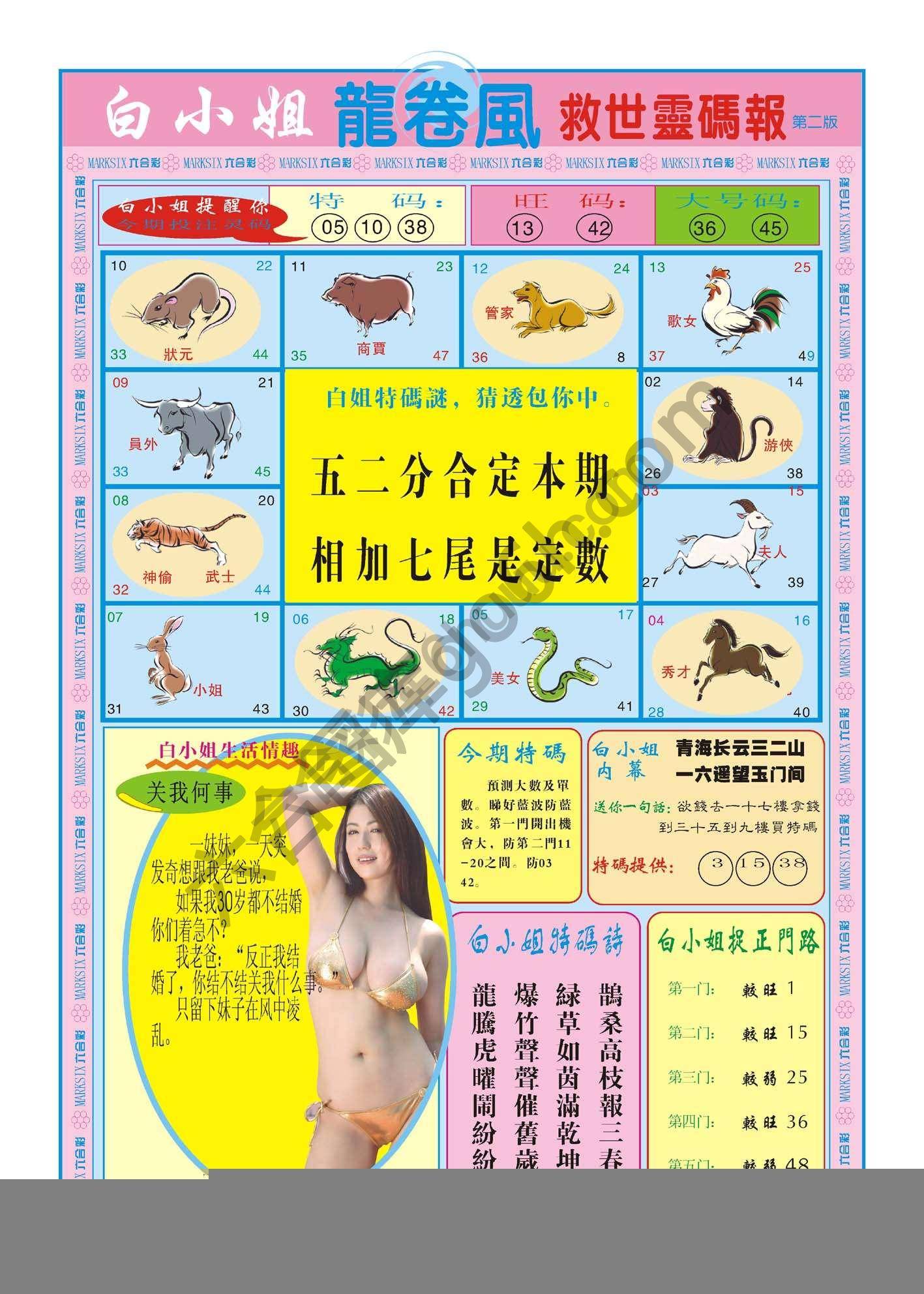 白小姐龙卷风