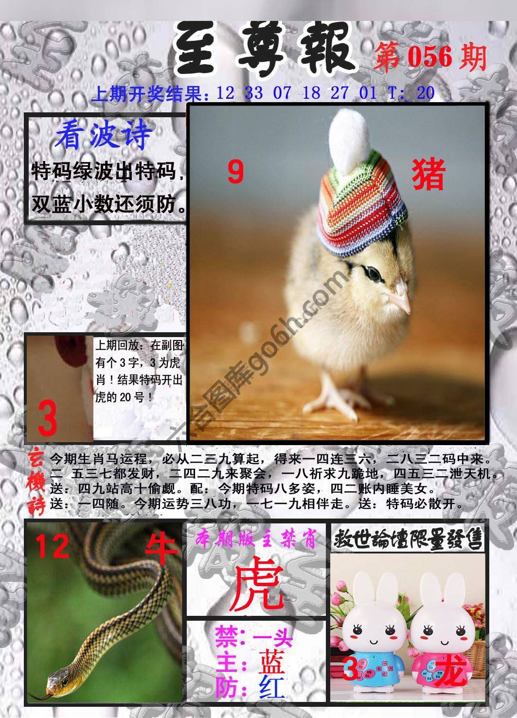 至尊报
