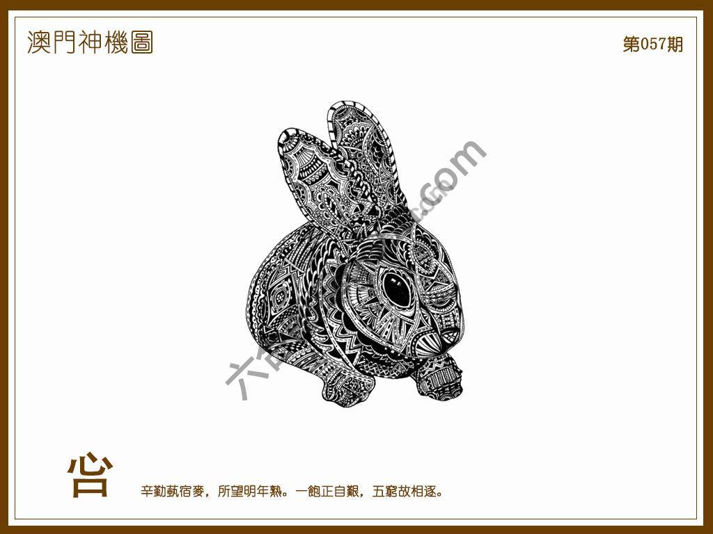 澳门神机图