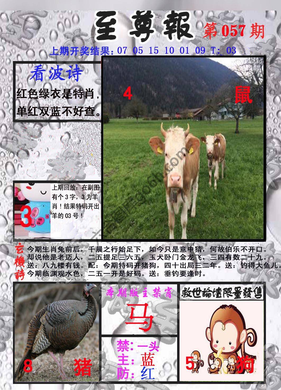 至尊报