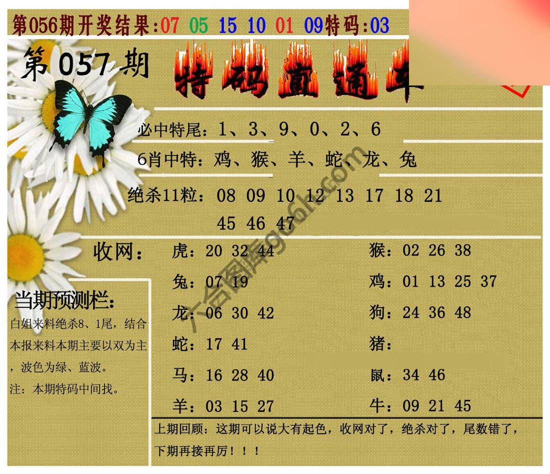 特码直通车
