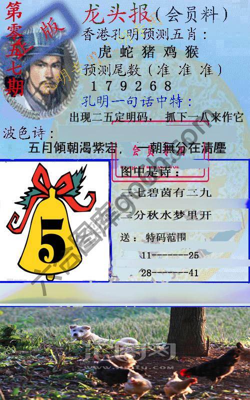 龙头报