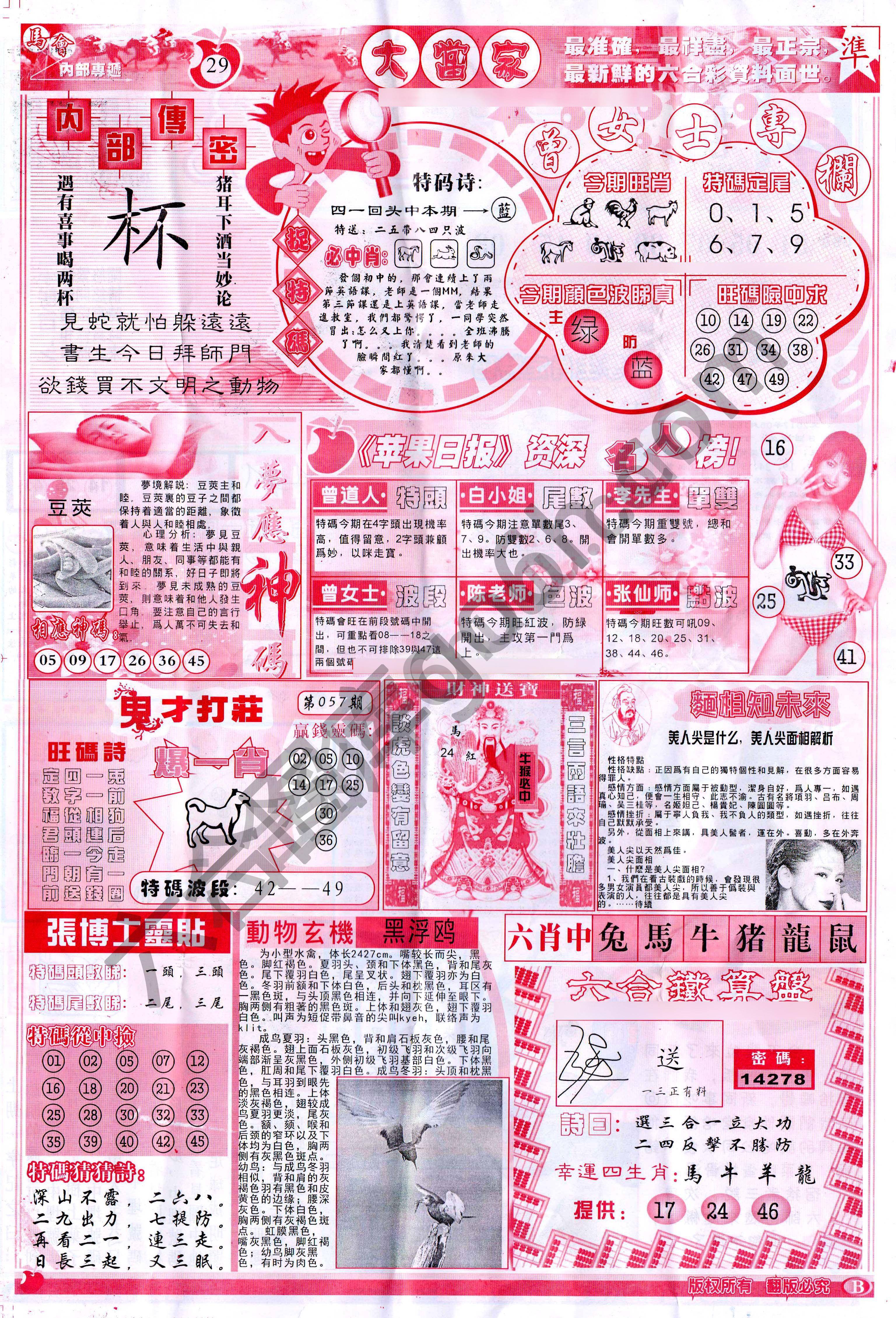 大当家