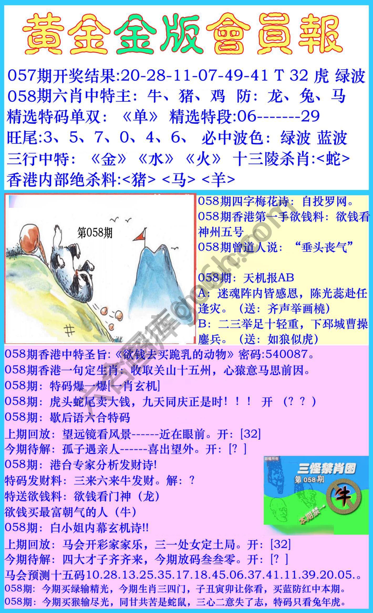 黄金金版会员报