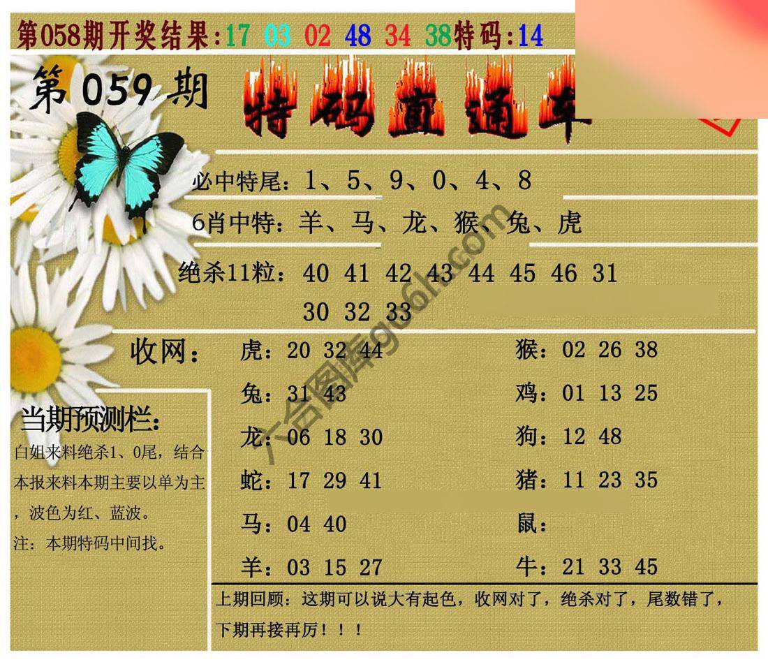 特码直通车
