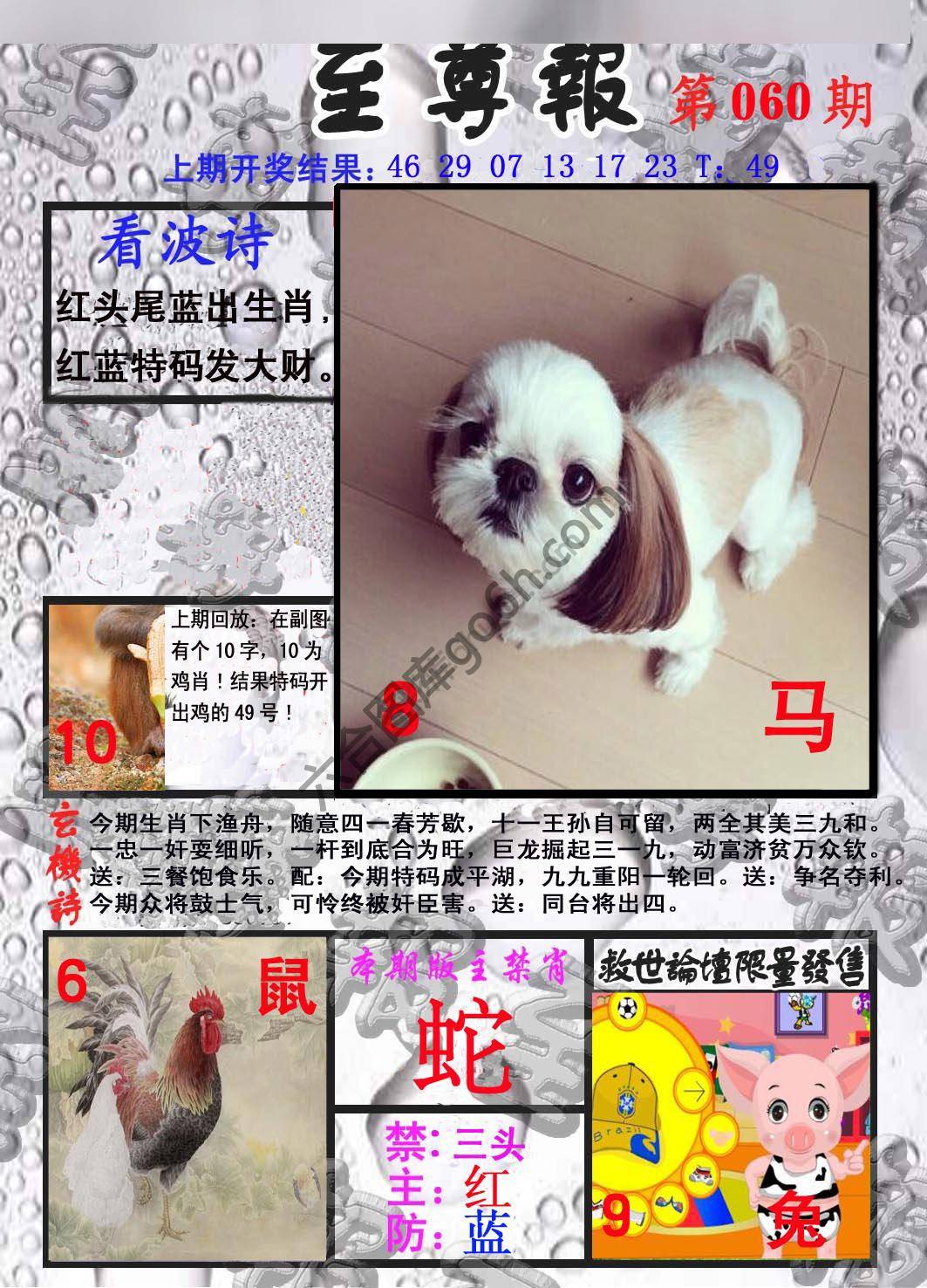 至尊报