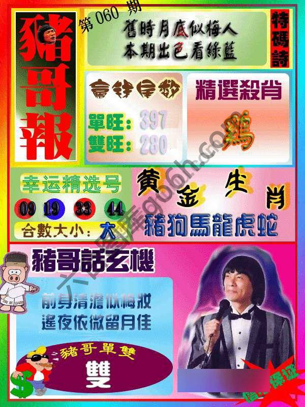 猪哥报
