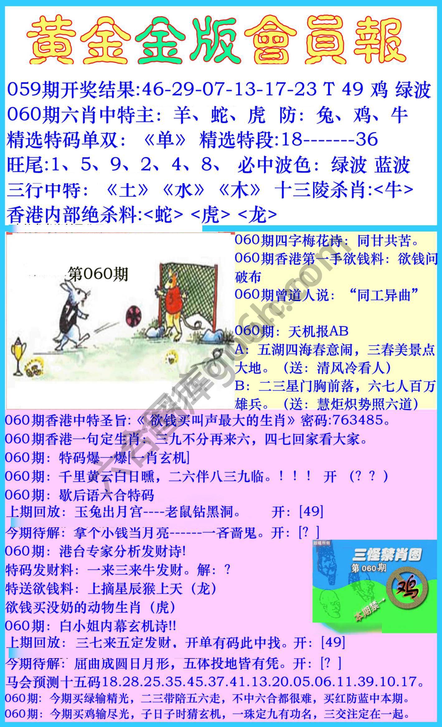 黄金金版会员报