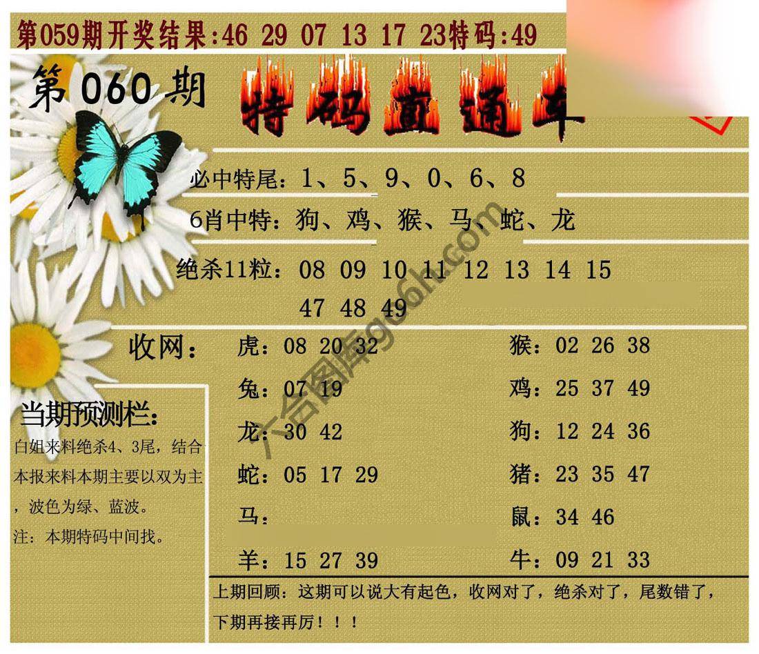 特码直通车