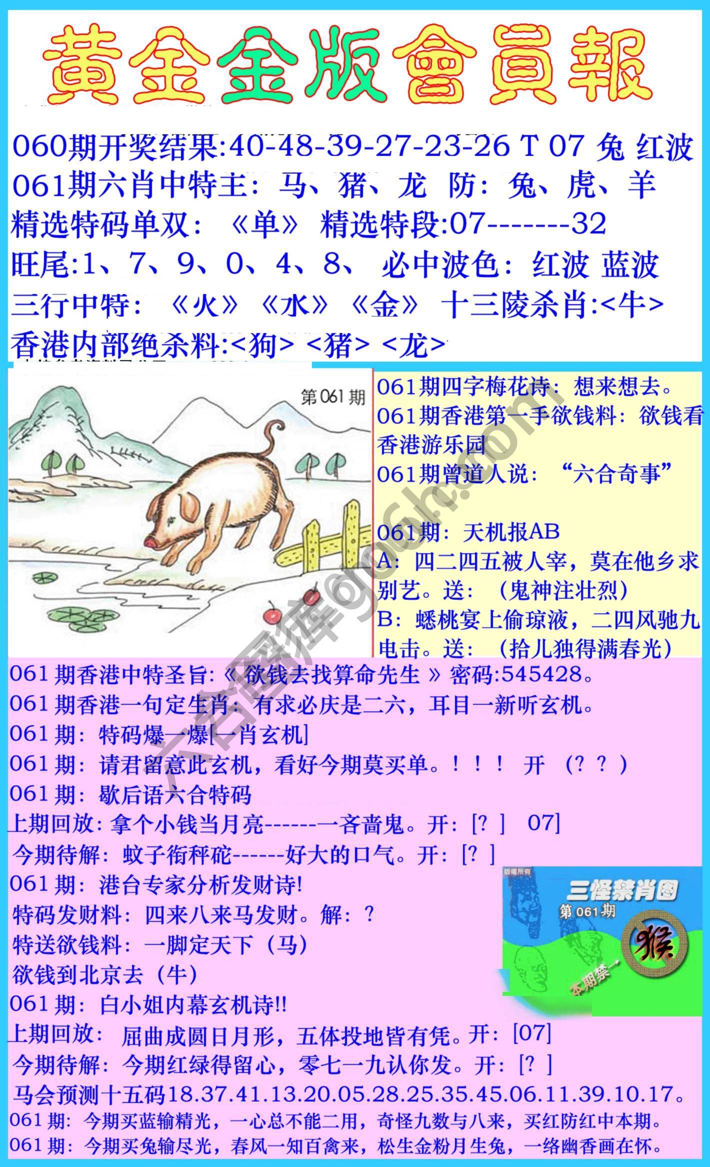 黄金金版会员报