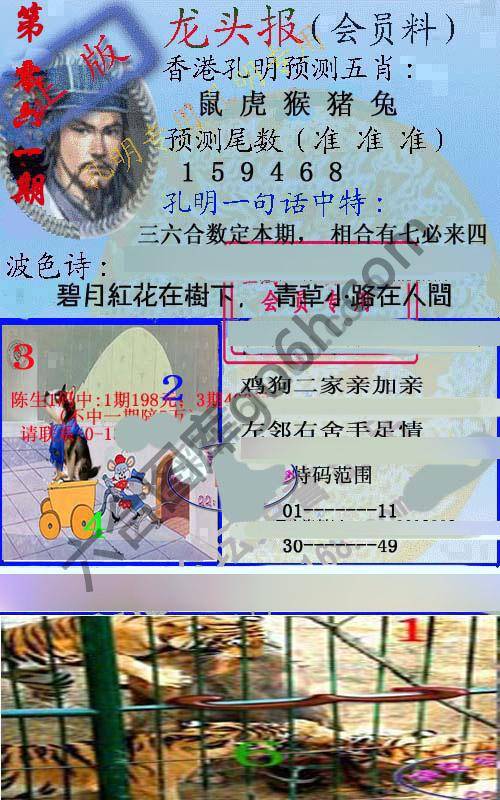 龙头报