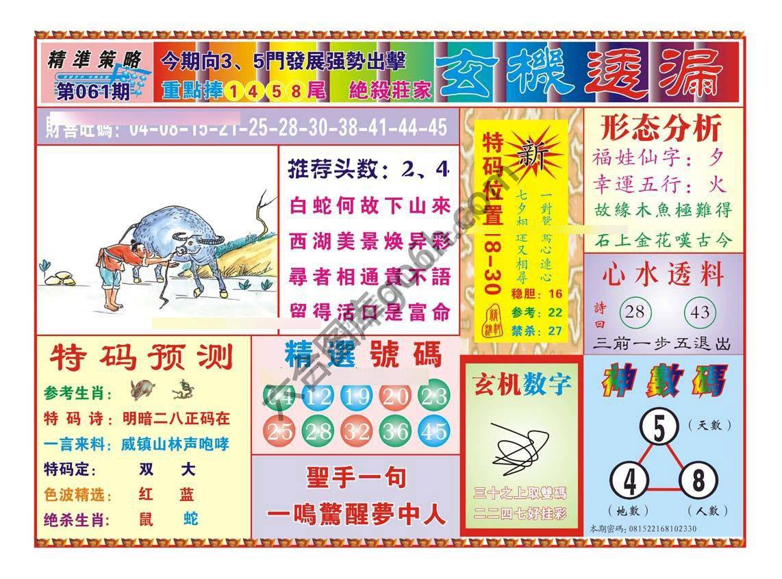 玄机透漏