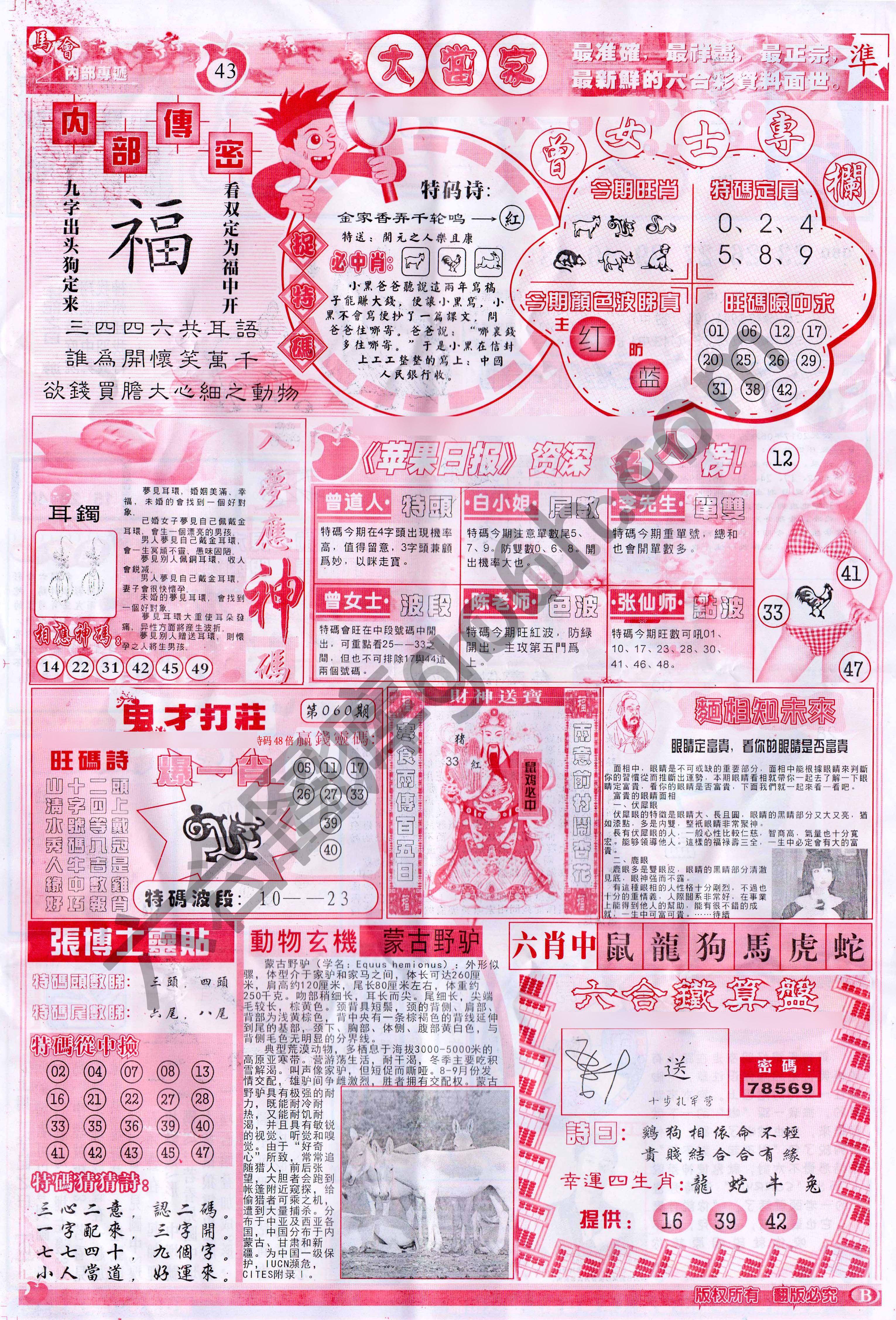 大当家