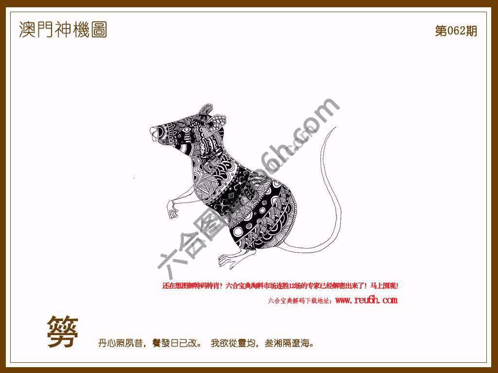 澳门神机图