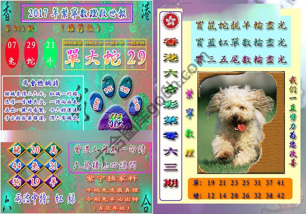 数理救世报