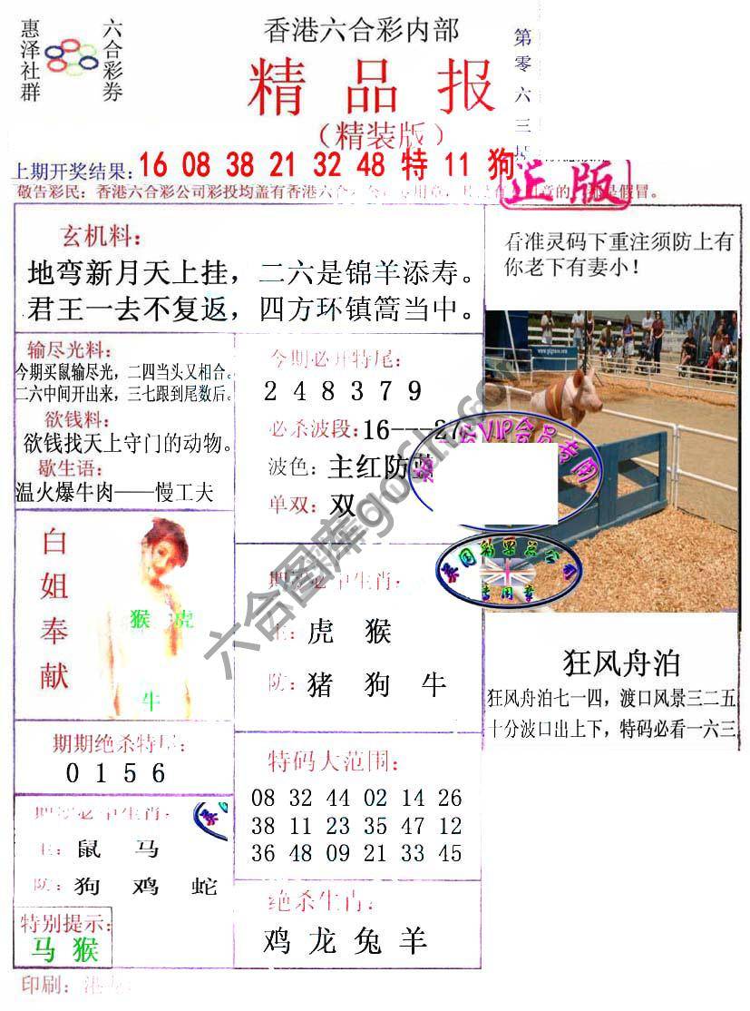 新精品报