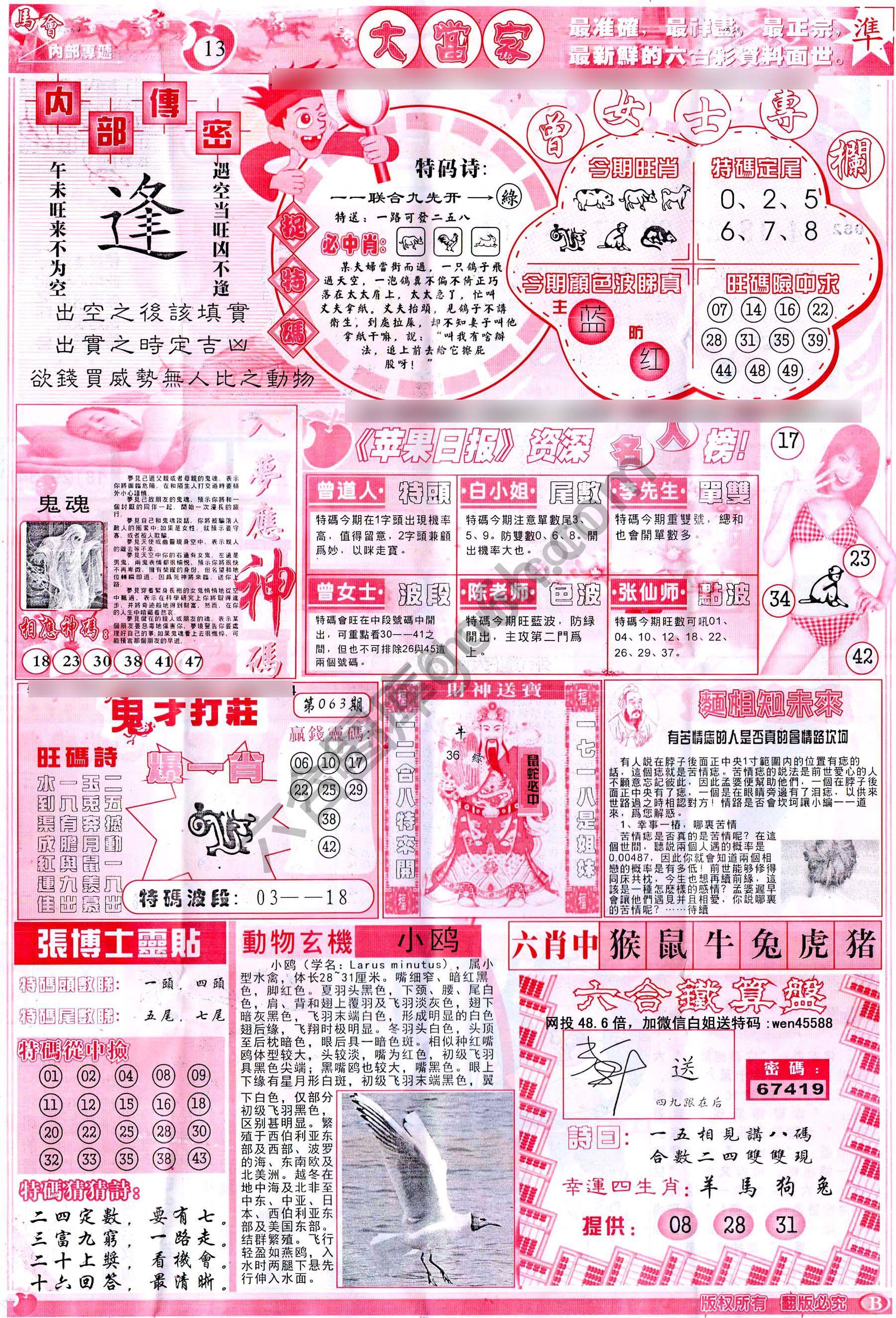 大当家