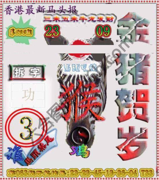 香港马头报