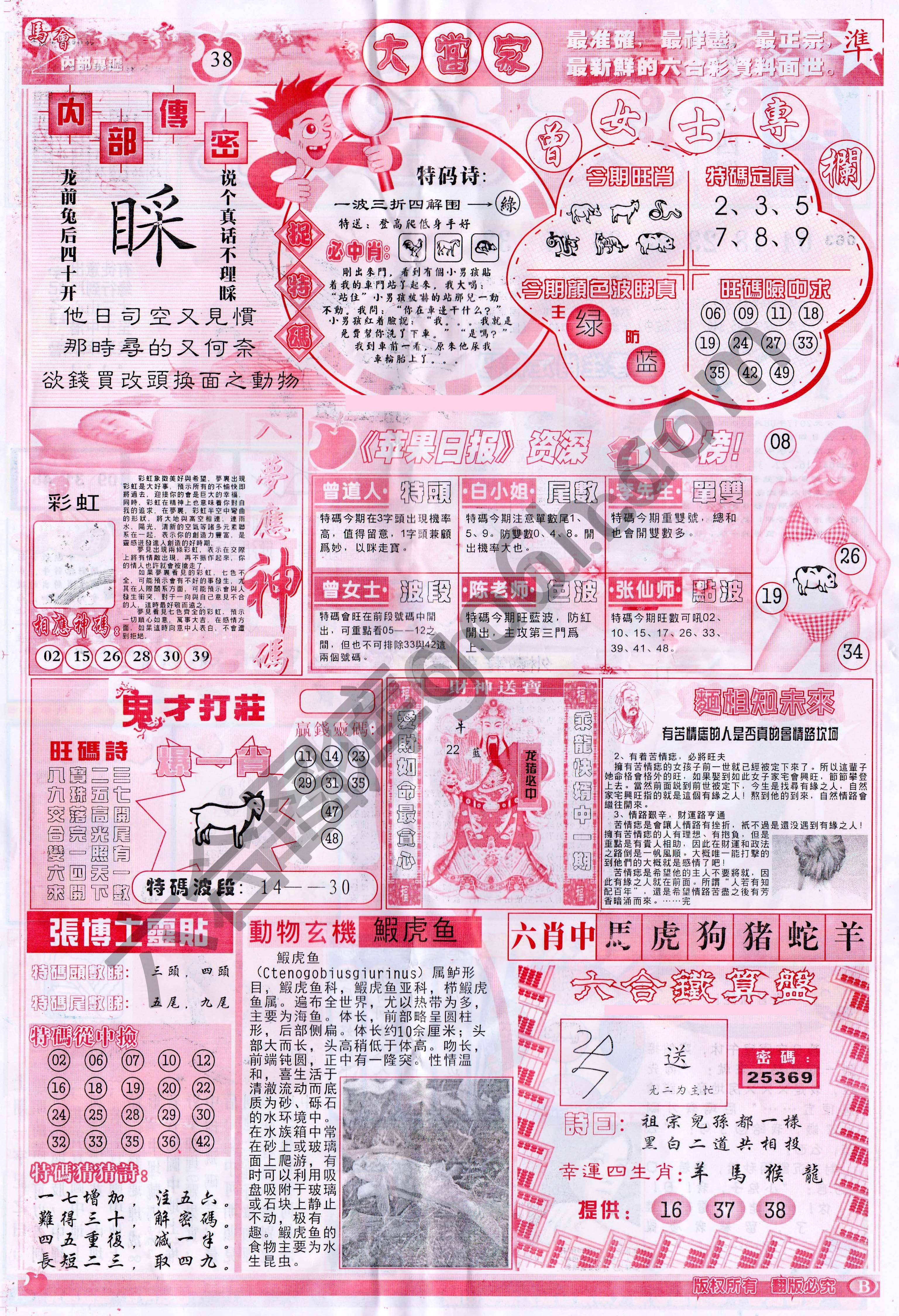 大当家