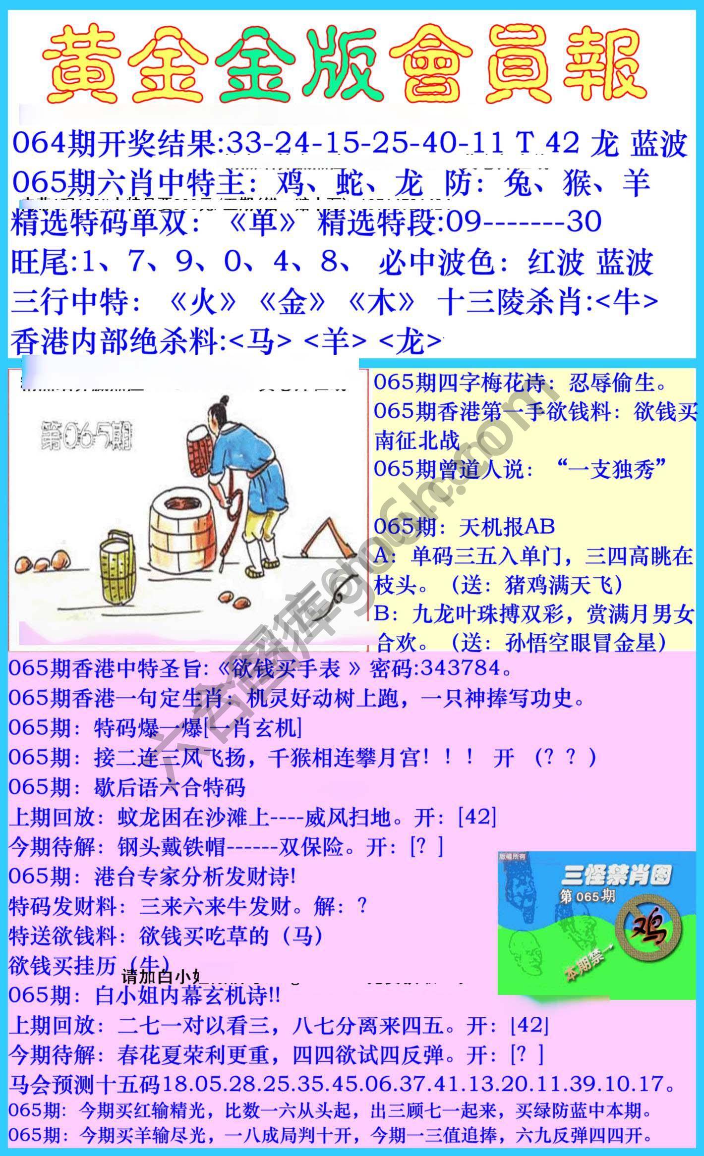 黄金金版会员报