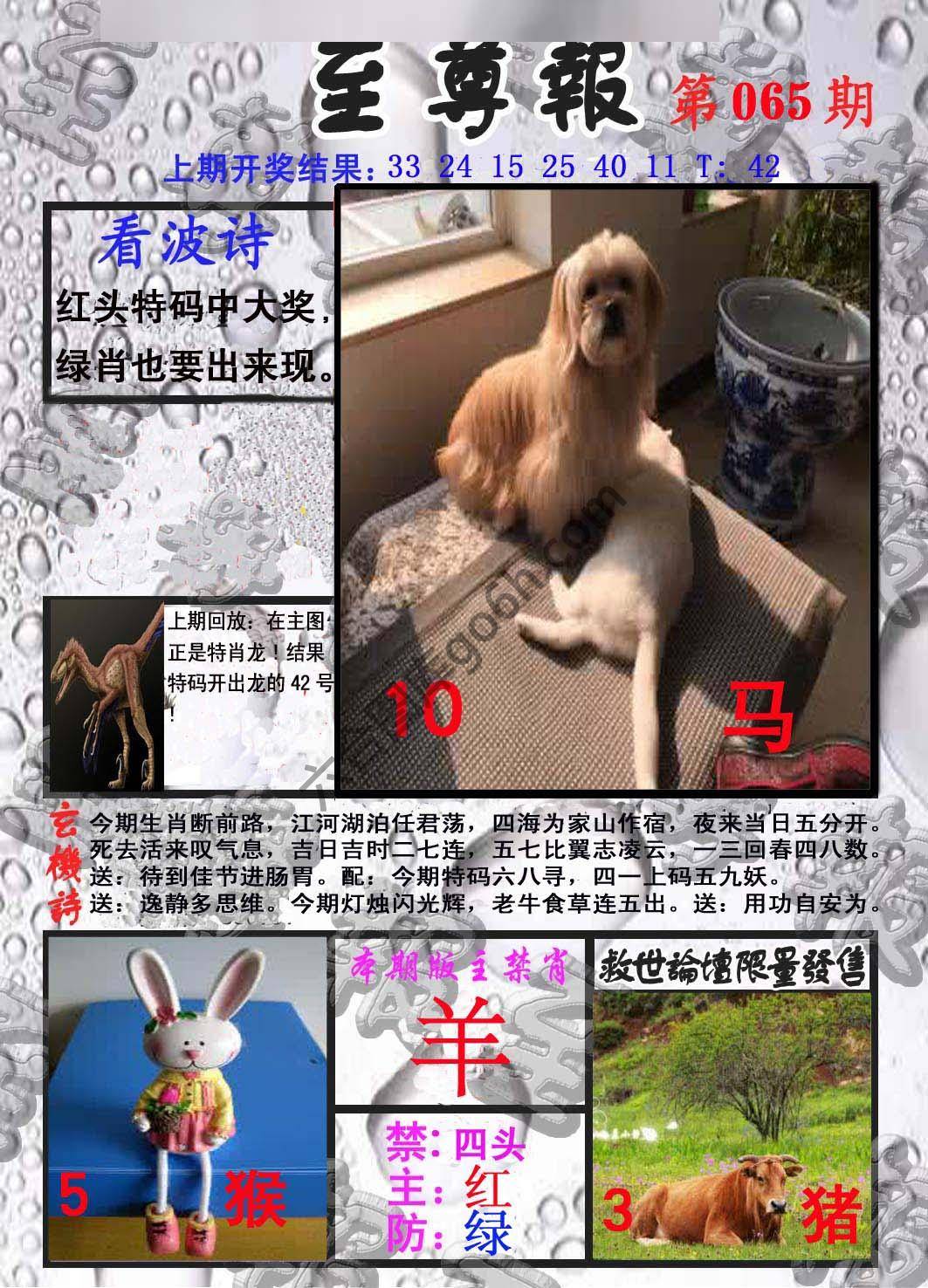 至尊报