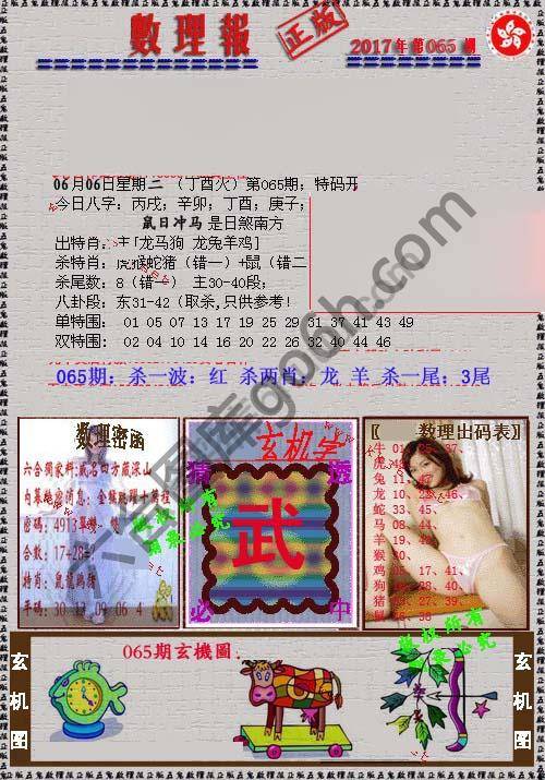数理报