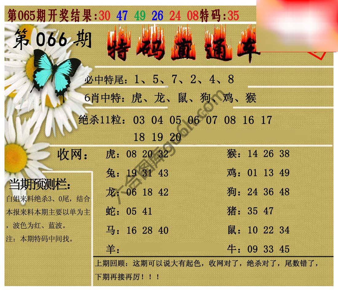 特码直通车