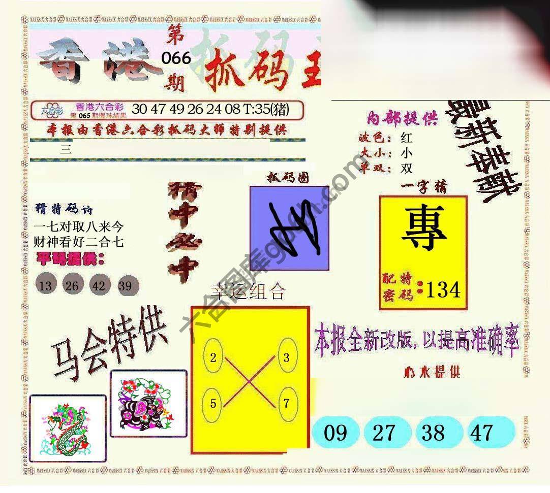 新抓码王