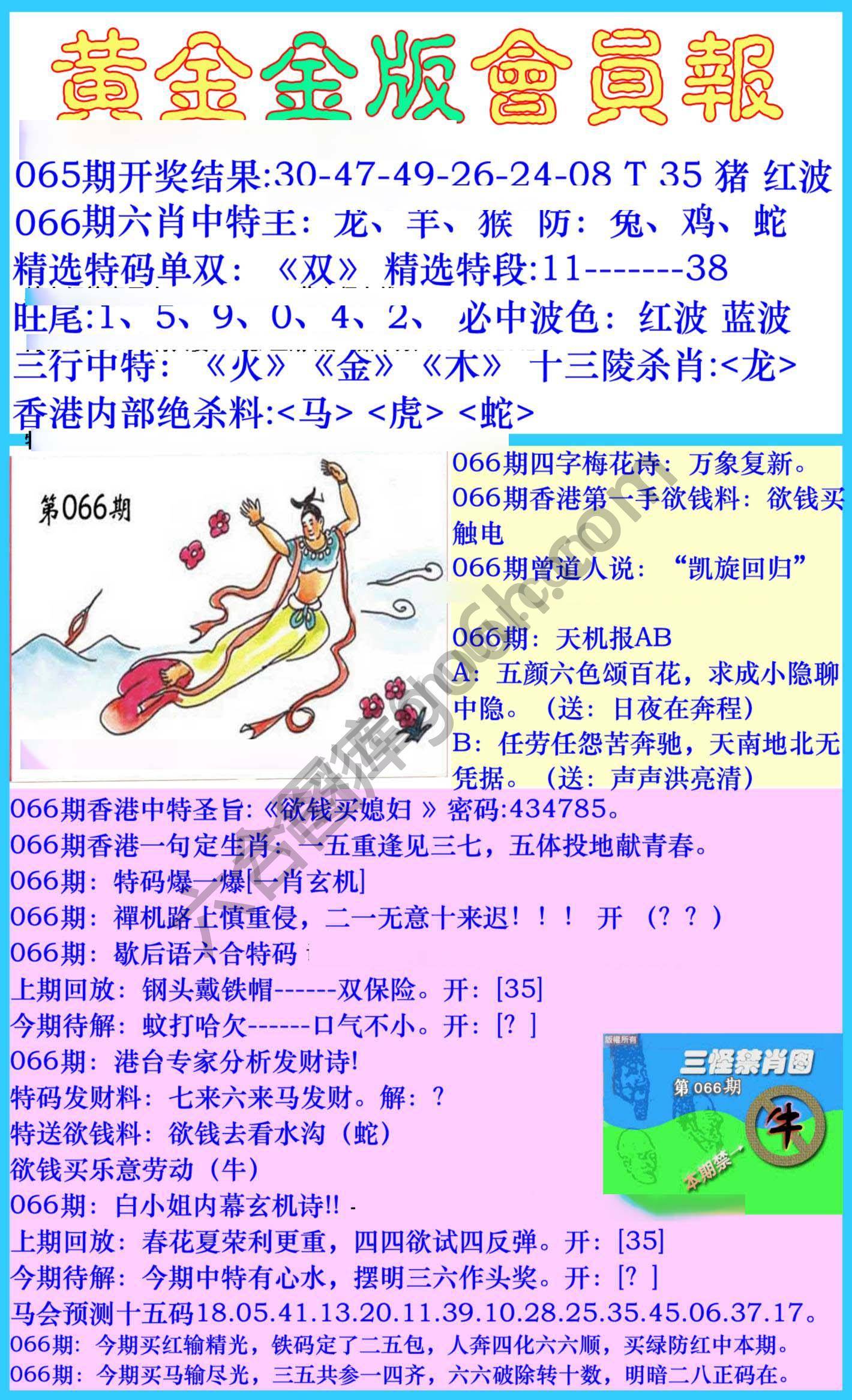 黄金金版会员报