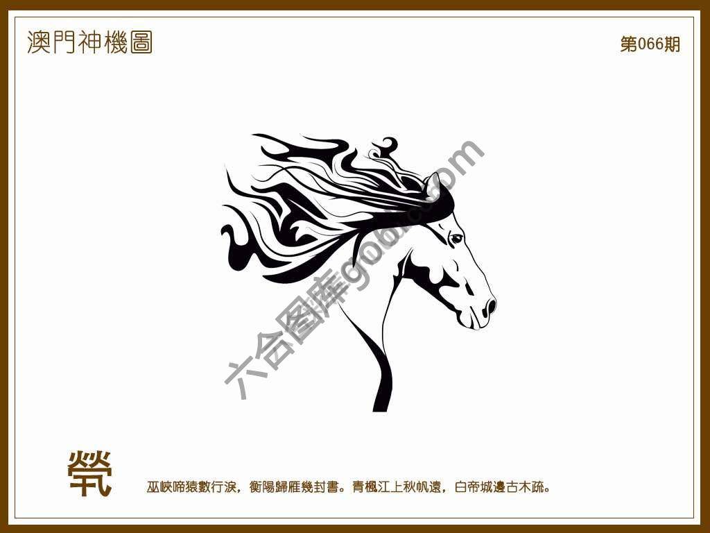 澳门神机图