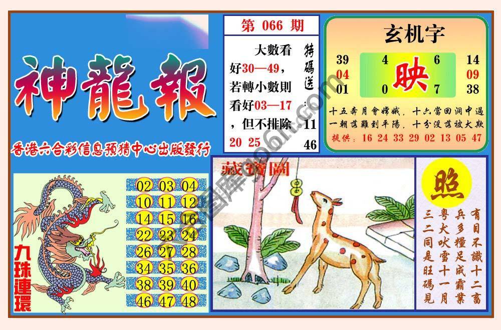 蓝月亮神龙报