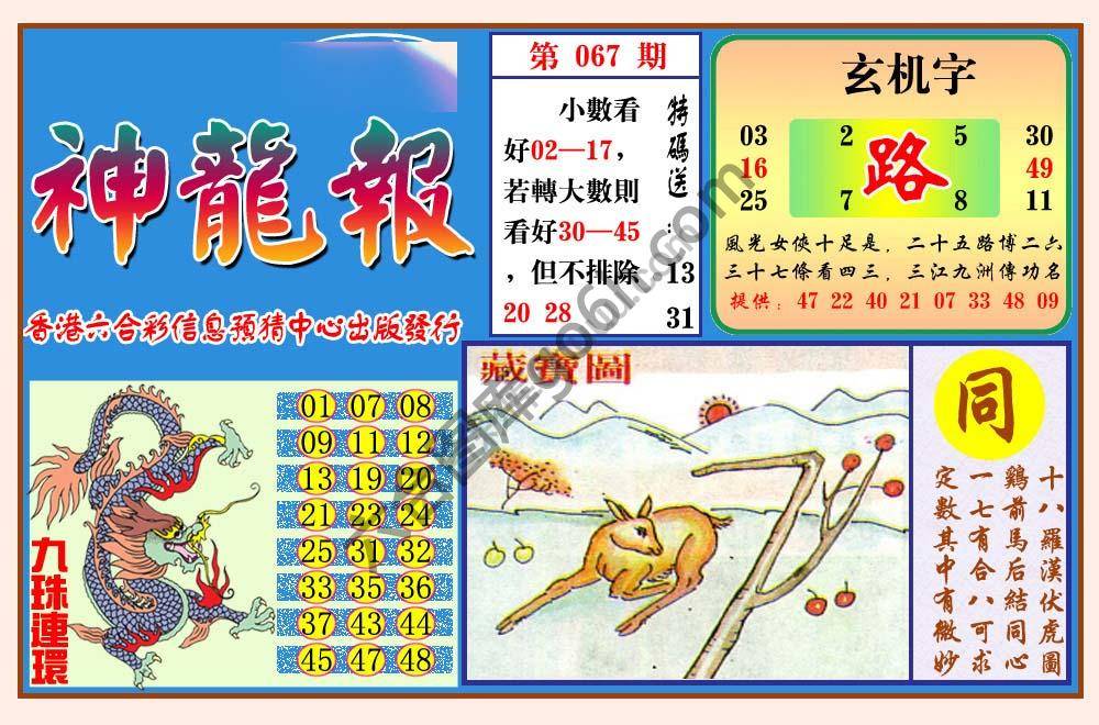 蓝月亮神龙报