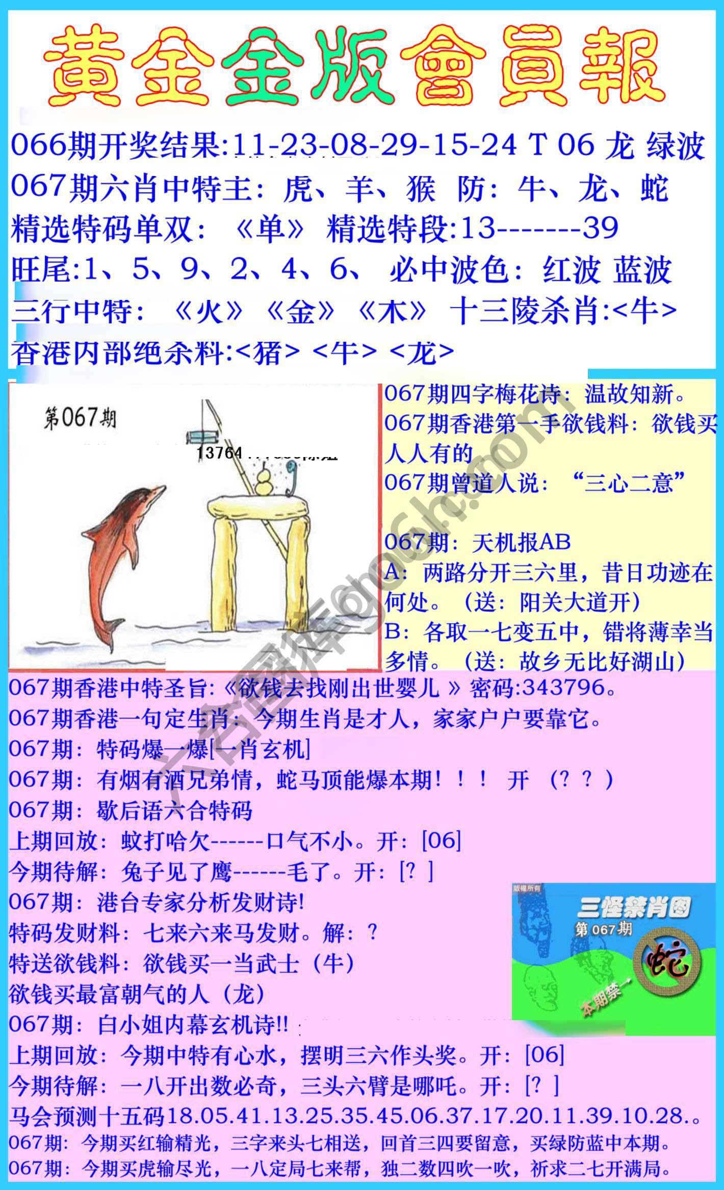 黄金金版会员报