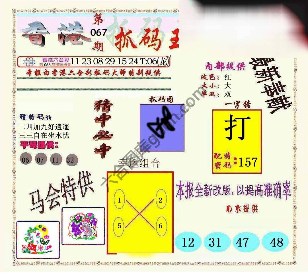新抓码王