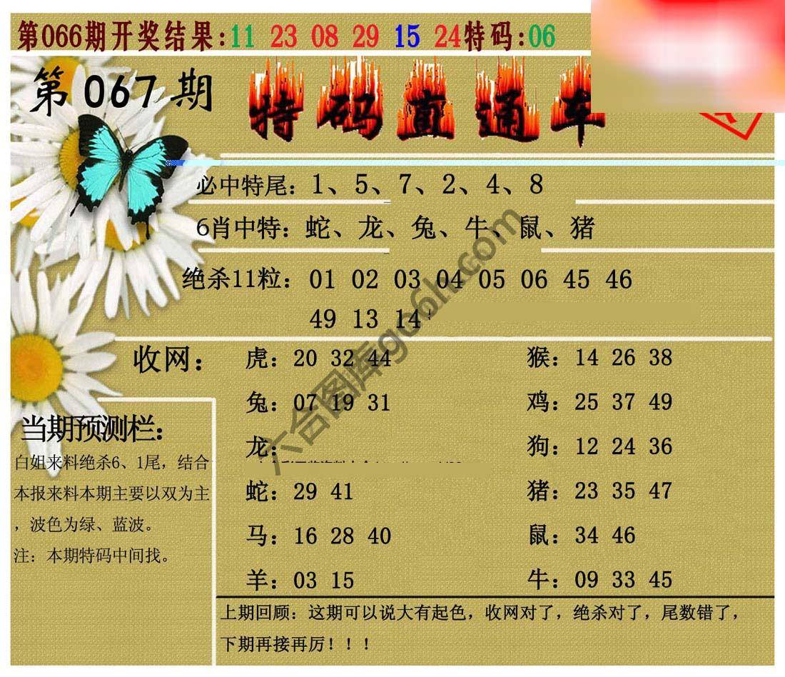 特码直通车