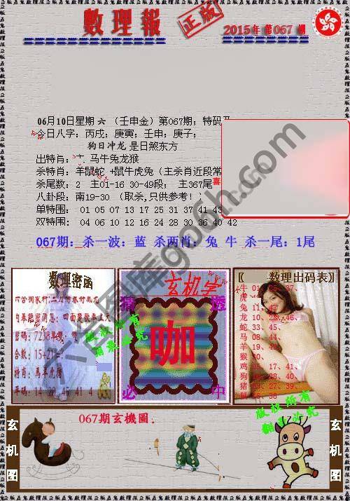 数理报