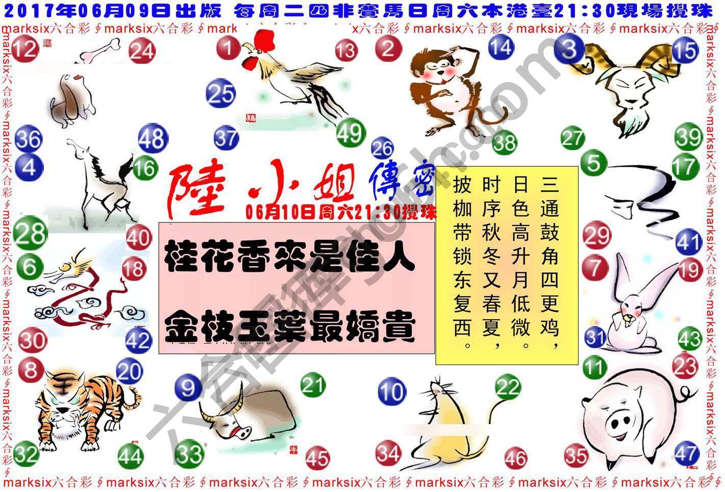 陆小姐传密