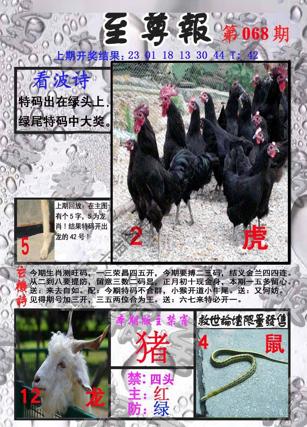 至尊报
